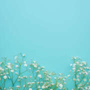 ヒメ日記 2026/03/31 17:30 投稿 しおん 栃木小山ちゃんこ