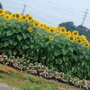 ヒメ日記 2026/09/02 22:04 投稿 しおん 栃木小山ちゃんこ