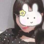 ヒメ日記 2025/10/03 11:06 投稿 るる 横浜ひよこ倶楽部