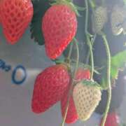 ヒメ日記 2026/02/14 21:15 投稿 はづき 池袋デリヘル倶楽部