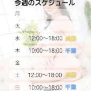 ヒメ日記 2025/11/17 08:15 投稿 井上ゆうか 癒したくて千葉店～日本人アロマ性感～