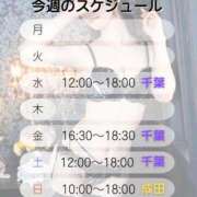 ヒメ日記 2025/12/08 08:15 投稿 井上ゆうか 癒したくて千葉店～日本人アロマ性感～