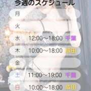 ヒメ日記 2026/02/16 08:15 投稿 井上ゆうか 癒したくて千葉店～日本人アロマ性感～