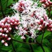 ヒメ日記 2025/10/29 12:32 投稿 寧々 フォーナイン熊本