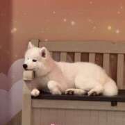 ヒメ日記 2025/12/21 03:48 投稿 葉月【はづき】 ★無料オプション多数★成田若妻即即サークル【日本人専門店】