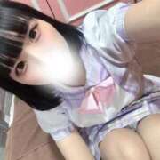 ヒメ日記 2025/11/07 09:19 投稿 むぎ チューリップ福井本館