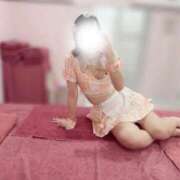 ヒメ日記 2025/11/07 11:24 投稿 むぎ チューリップ福井本館