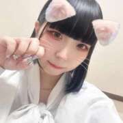 ヒメ日記 2025/11/11 11:14 投稿 むぎ チューリップ福井本館