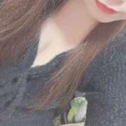 ヒメ日記 2026/02/21 12:06 投稿 ドキンちゃん ドMな奥様 大阪本店