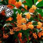 ヒメ日記 2025/10/21 18:25 投稿 すずな 奥鉄オクテツ東京店（デリヘル市場）