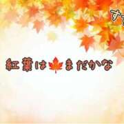 ヒメ日記 2025/10/28 13:30 投稿 すずな 奥鉄オクテツ東京店（デリヘル市場）