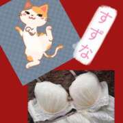 ヒメ日記 2026/02/28 08:10 投稿 すずな 奥鉄オクテツ東京店（デリヘル市場）