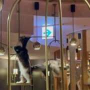 ヒメ日記 2025/09/30 13:39 投稿 ゆい 名古屋回春性感マッサージ倶楽部