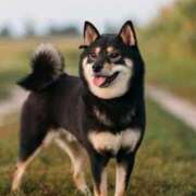 ゆい あいにくのお天気でしたね 名古屋回春性感マッサージ倶楽部