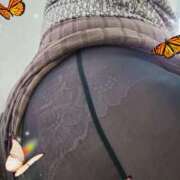 ヒメ日記 2025/12/17 13:27 投稿 美摩【みま】 丸妻 西船橋店