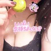 ヒメ日記 2025/09/30 03:43 投稿 つぼみ 池袋角海老