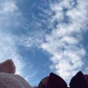 はる ? アムールクリスタル