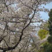 ヒメ日記 2026/04/08 21:20 投稿 ゆり 熟女の風俗最終章 西川口店