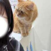 ヒメ日記 2025/10/06 23:17 投稿 ありな ウルトラドリーム