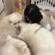 ヒメ日記 2025/11/06 13:59 投稿 ありな ウルトラドリーム