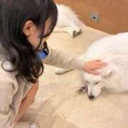 ヒメ日記 2025/11/06 23:12 投稿 ありな ウルトラドリーム