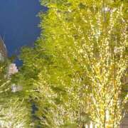 藤井 萩花 おはようございます☀️ プルプルハウス