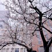 ヒメ日記 2026/03/24 07:19 投稿 綾野 誘惑マル秘ミセス