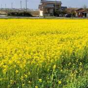 ヒメ日記 2026/04/13 06:20 投稿 綾野 誘惑マル秘ミセス