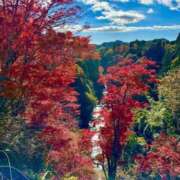 ヒメ日記 2025/11/05 22:27 投稿 れいな Grace東京