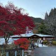 ヒメ日記 2025/11/25 10:09 投稿 れいな Grace東京