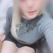 ヒメ日記 2025/12/23 20:55 投稿 ことみ clubさくら梅田店