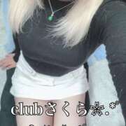 ヒメ日記 2026/02/11 18:25 投稿 ことみ clubさくら梅田店