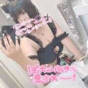 ヒメ日記 2025/10/12 14:50 投稿 ゆゆ 即トク奥さん