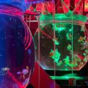 ヒメ日記 2025/10/29 16:51 投稿 ゆゆ 即トク奥さん