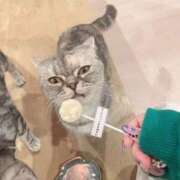 ゆゆ 来月 即トク奥さん