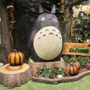 ゆゆ 今年で。 即トク奥さん