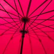 ヒメ日記 2025/11/09 09:03 投稿 卯月にあ セレブショップ新宿（東京ハレ系）