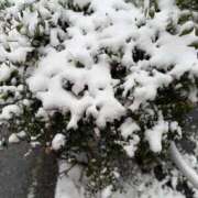 ヒメ日記 2026/02/08 08:57 投稿 卯月にあ セレブショップ新宿（東京ハレ系）