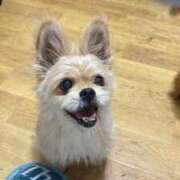 ヒメ日記 2025/09/29 09:42 投稿 まな 密着指導！バカンス学園 尼崎校