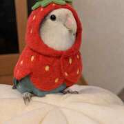 ヒメ日記 2026/01/14 21:01 投稿 みろ ∞ (はっち)