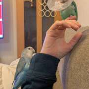 ヒメ日記 2026/01/18 23:32 投稿 みろ ∞ (はっち)