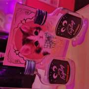 ヒメ日記 2026/02/15 22:32 投稿 みろ ∞ (はっち)