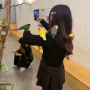 ヒメ日記 2026/02/19 18:53 投稿 みろ ∞ (はっち)