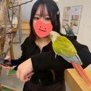 みろ みろ出勤！🕊✨ ∞ (はっち)