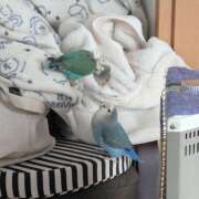 ヒメ日記 2026/03/04 23:24 投稿 みろ ∞ (はっち)