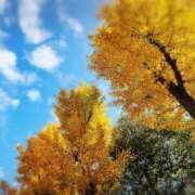 おと パシャリΣp[【◎】]ω・´) 熟女総本店 堺東店