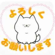 ヒメ日記 2025/12/19 12:44 投稿 おと 熟女総本店 堺東店