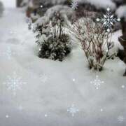 ヒメ日記 2026/01/25 11:42 投稿 おと 熟女総本店 堺東店