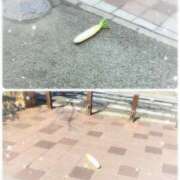 ヒメ日記 2026/02/13 13:41 投稿 おと 熟女総本店 堺東店