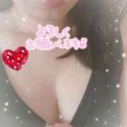 ヒメ日記 2026/02/14 09:29 投稿 おと 熟女総本店 堺東店